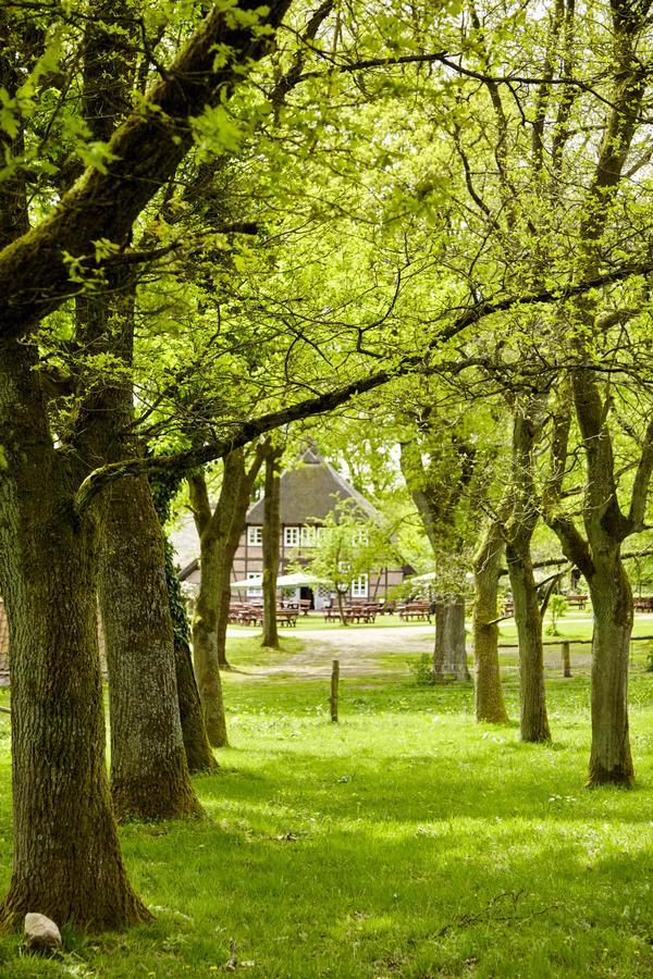 Hotel Hof Tuetsberg Bispingen Eksteriør billede